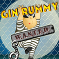 Cin Rummy