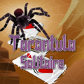 Tarantula Yalnızlığı